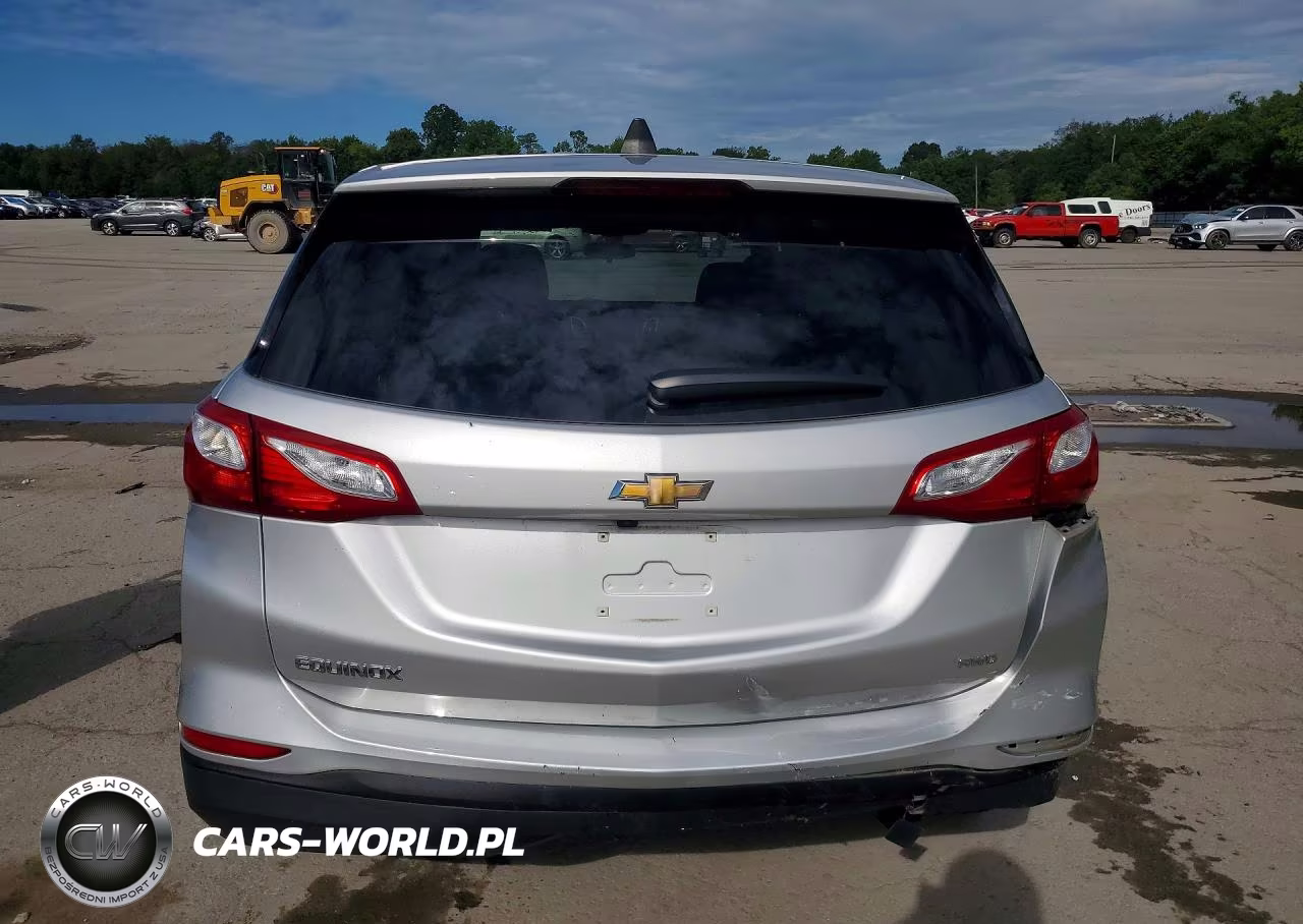 2019 Chevrolet Equinox Ls VIN:3GNAXSEV2KS628743 - 6