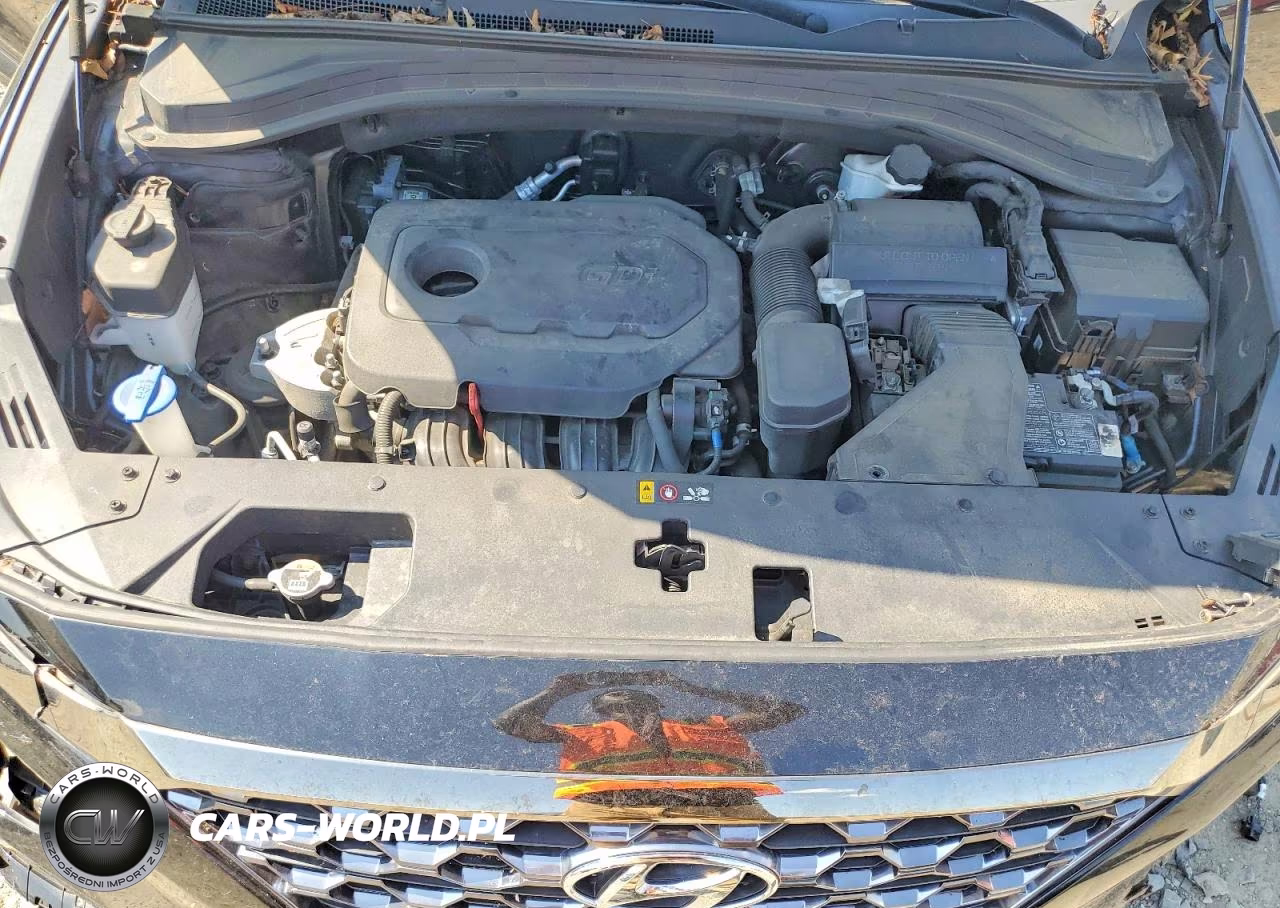 2020 Hyundai Santa Fe Limited VIN:5NMS5CAD8LH246120 - 12