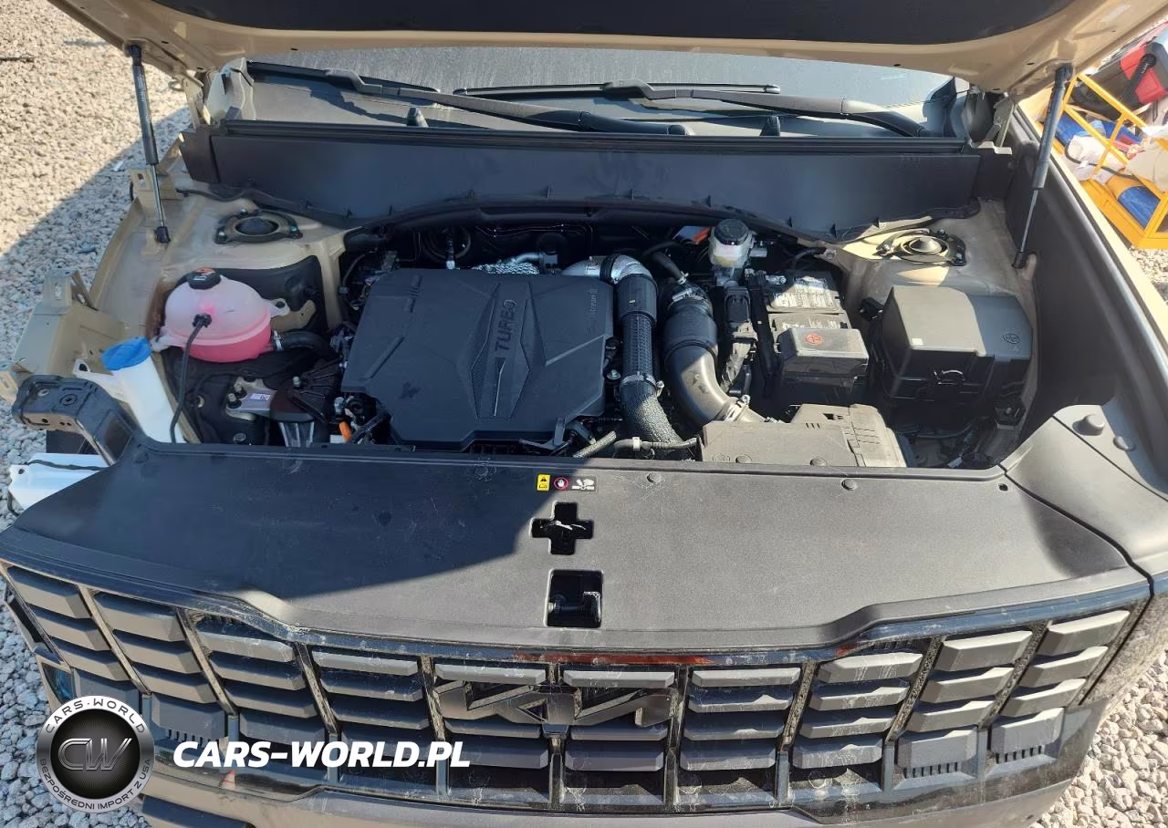 2027 Kia Telluride X-Line Sx VIN:5XYPDES10VG027464 - 12