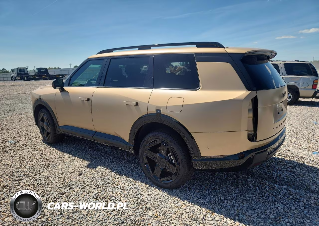 2027 Kia Telluride X-Line Sx VIN:5XYPDES10VG027464 - 2