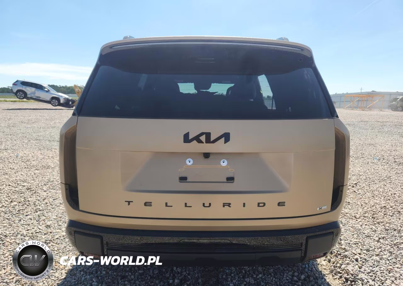 2027 Kia Telluride X-Line Sx VIN:5XYPDES10VG027464 - 6