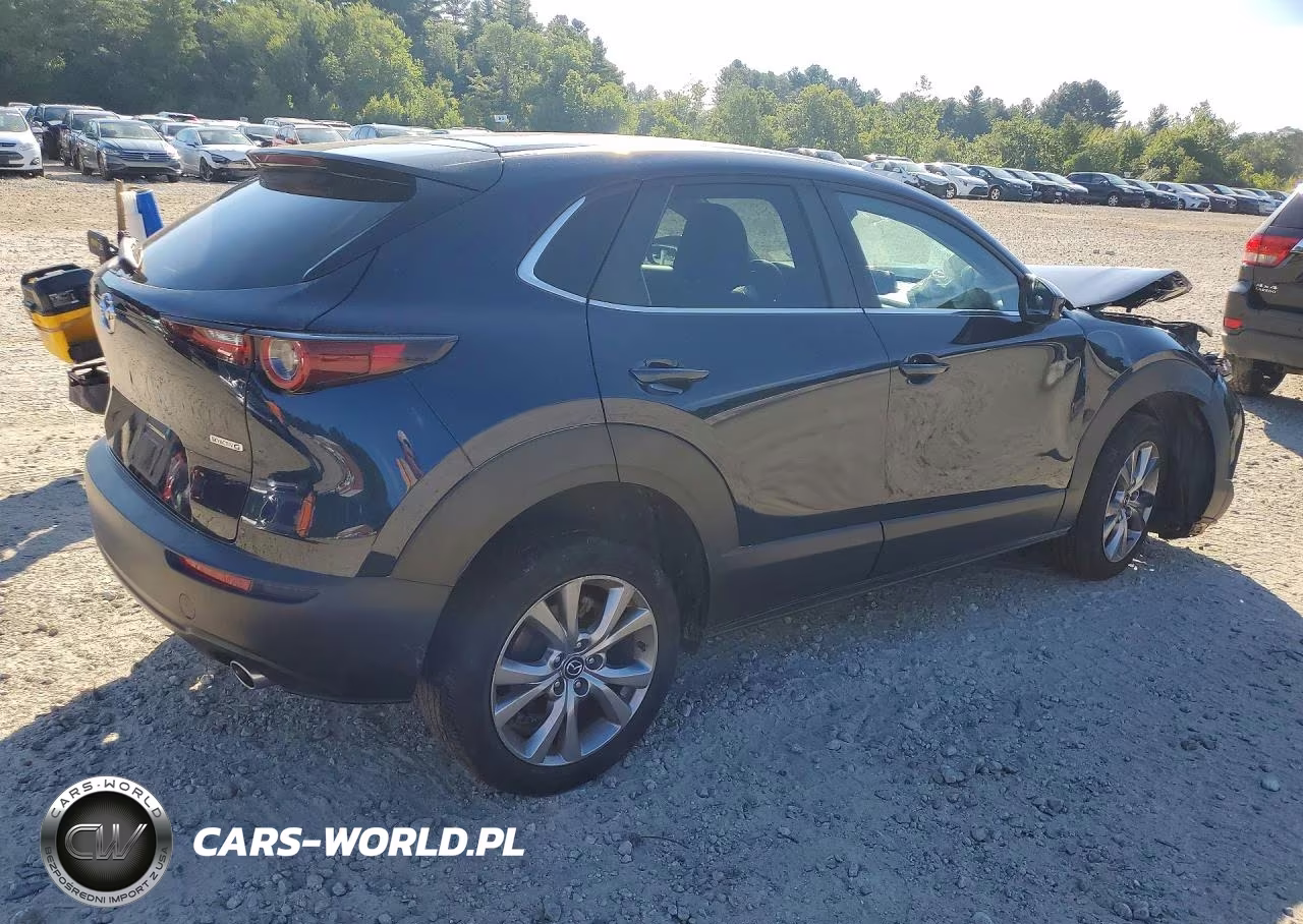 2021 Mazda Cx-30 Select VIN:3MVDMBBL0MM225237 - 3