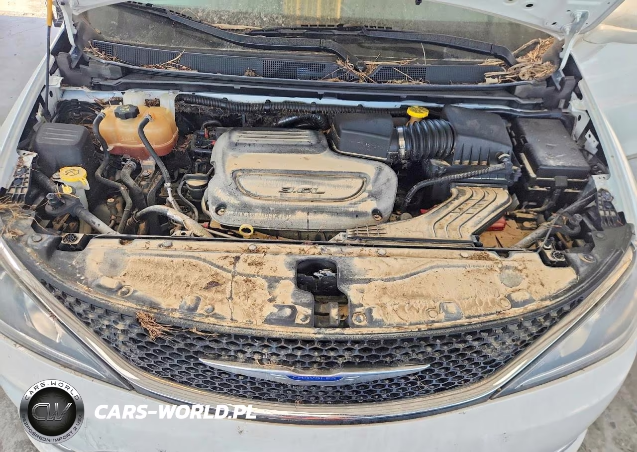 2019 Chrysler Pacifica Touring L VIN:2C4RC1BG4KR548283 - 11