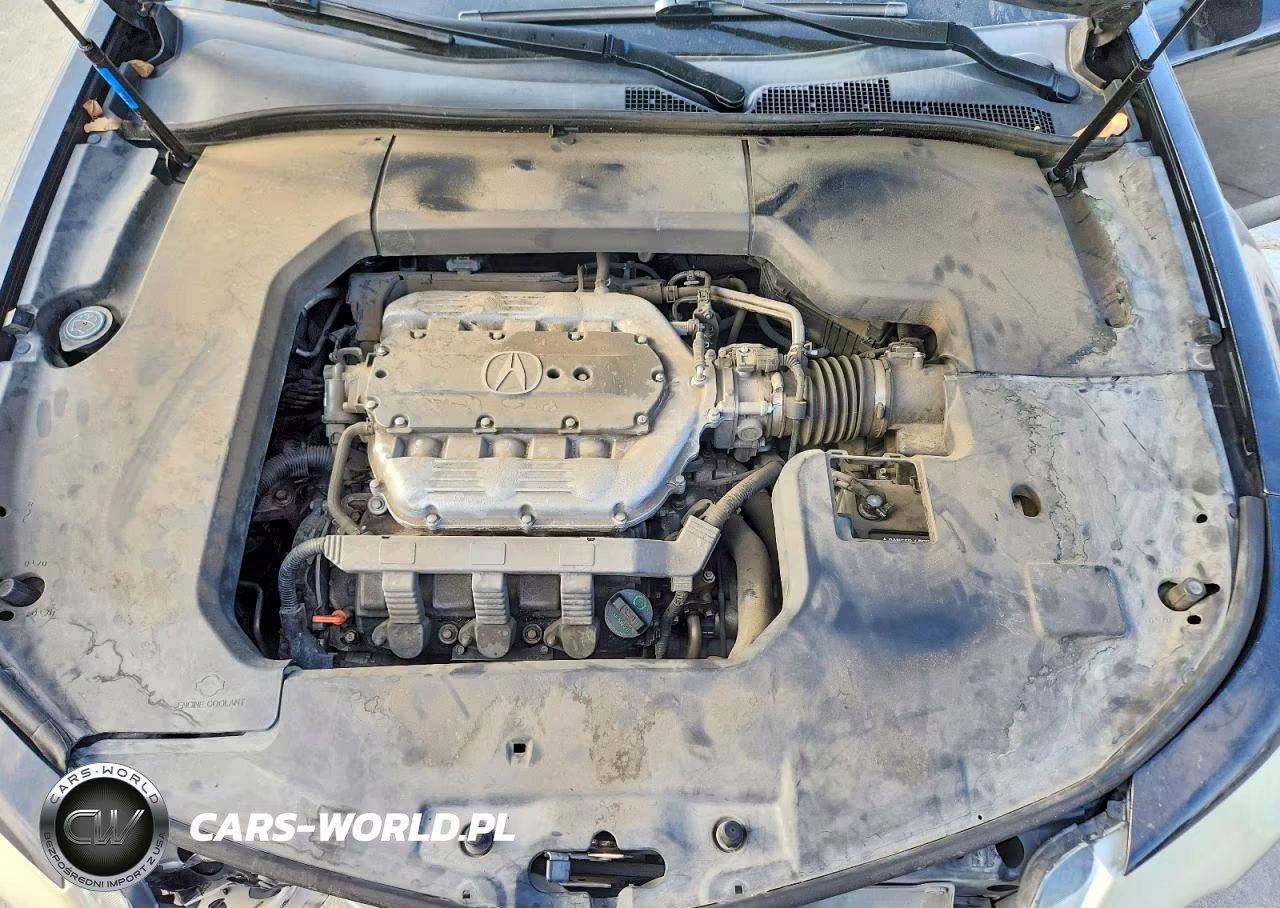 2009 Acura Tl VIN:19UUA86519A026454 - 11