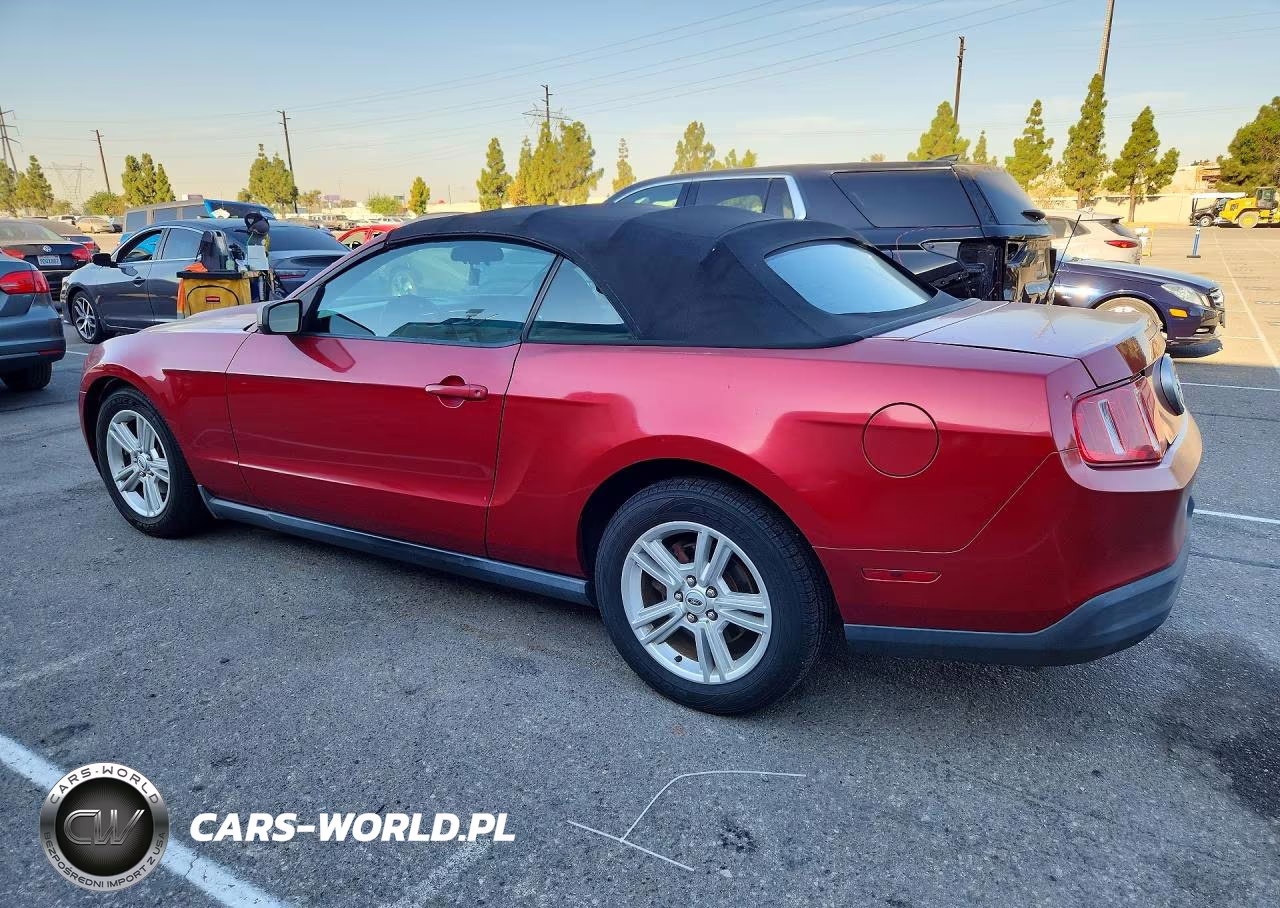 2010 Ford Mustang VIN:1ZVBP8EN5A5169570 - 2