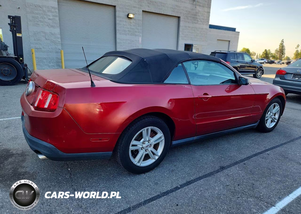 2010 Ford Mustang VIN:1ZVBP8EN5A5169570 - 3