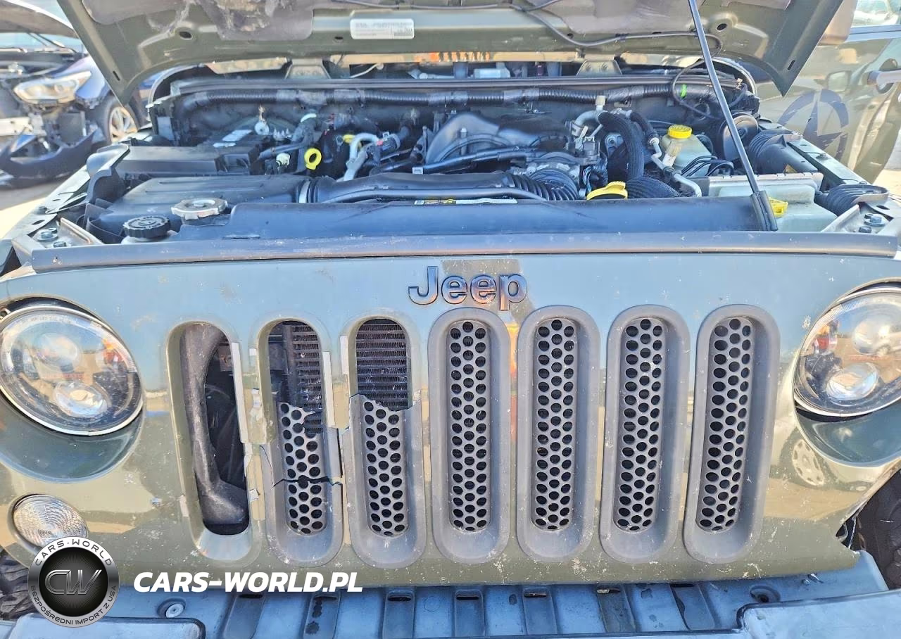 2015 Jeep Wrangler Rubicon VIN:1C4BJWCG1FL686686 - 12