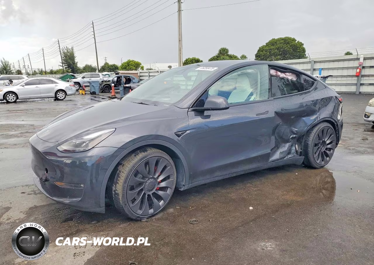 2024 Tesla Model Y VIN:7SAYGDEF5RF027229 - 1