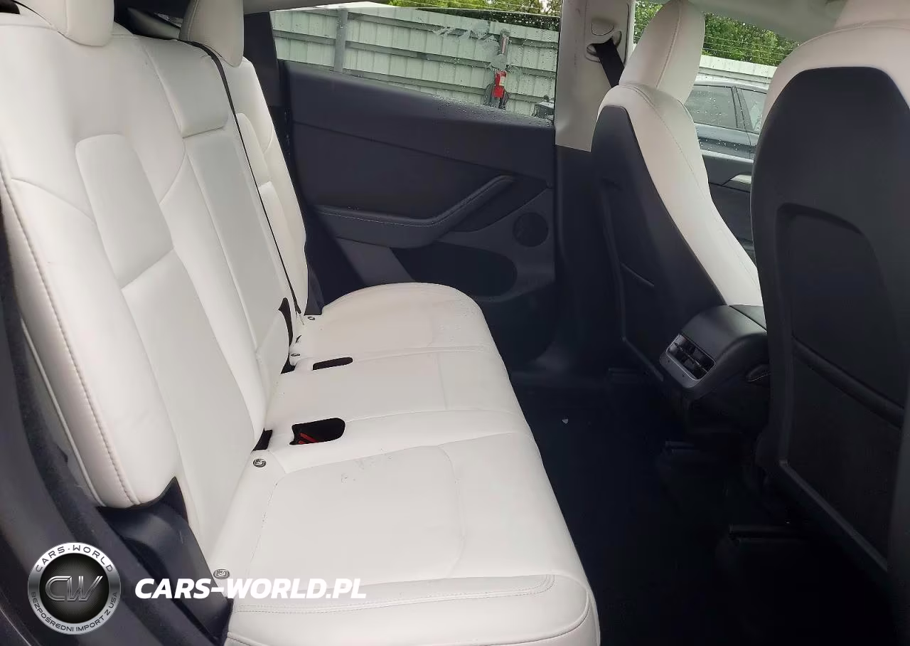2024 Tesla Model Y VIN:7SAYGDEF5RF027229 - 11
