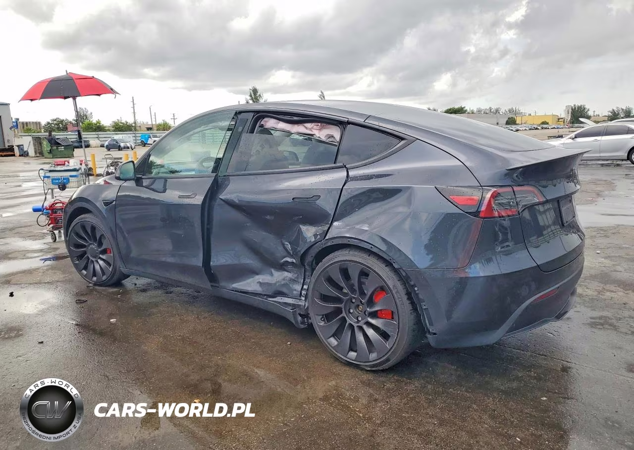 2024 Tesla Model Y VIN:7SAYGDEF5RF027229 - 2