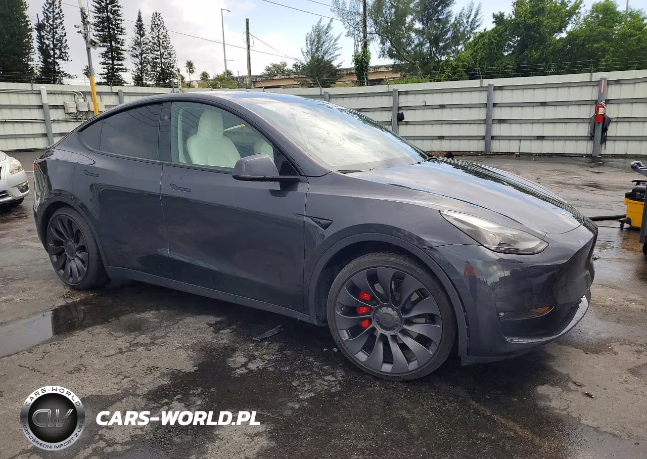 2024 Tesla Model Y VIN:7SAYGDEF5RF027229 - 4