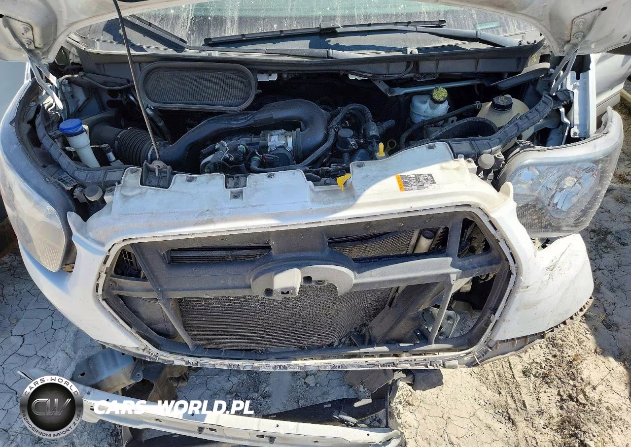 2023 Ford Transit 250 Delivery Van VIN:1FTBR1X85PKB95091 - 12