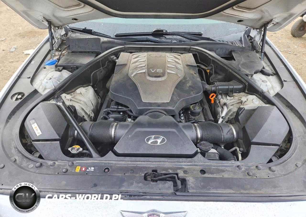 2015 Hyundai Genesis 5.0L VIN:KMHGN4JF2FU103704 - 11