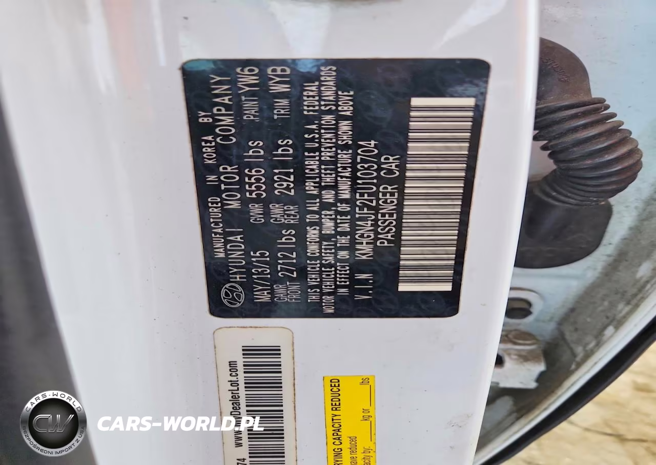 2015 Hyundai Genesis 5.0L VIN:KMHGN4JF2FU103704 - 12
