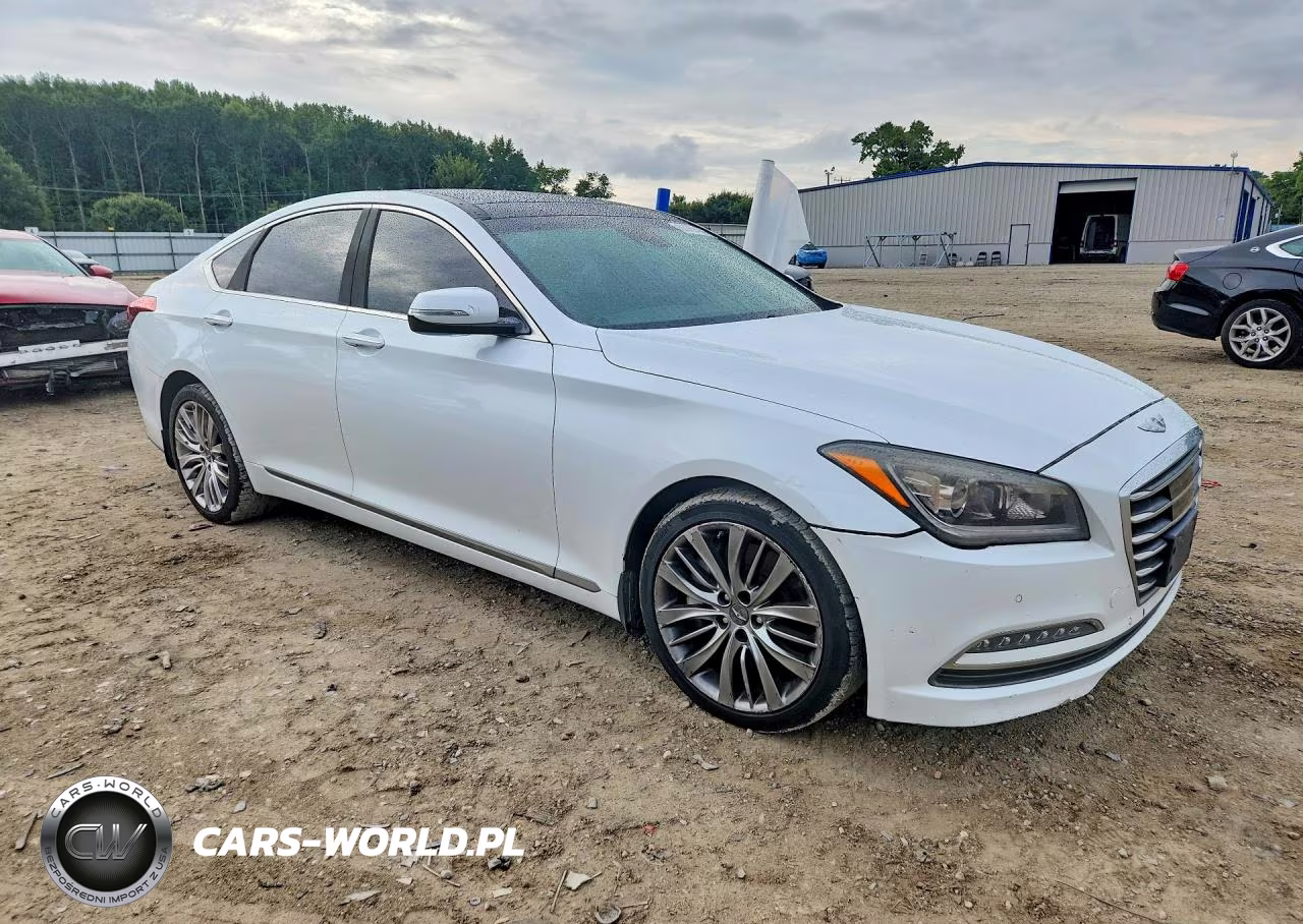 2015 Hyundai Genesis 5.0L VIN:KMHGN4JF2FU103704 - 4