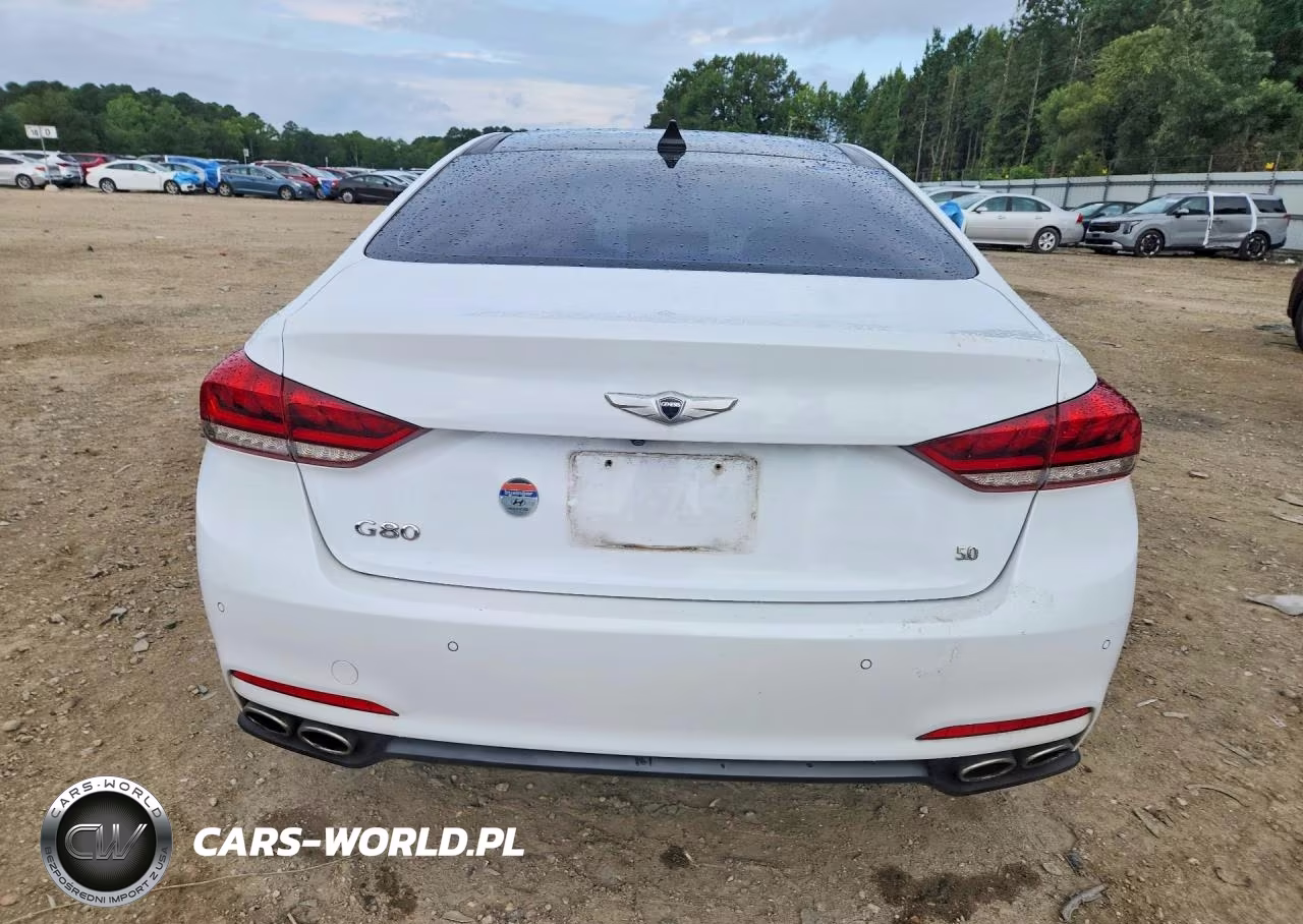 2015 Hyundai Genesis 5.0L VIN:KMHGN4JF2FU103704 - 6