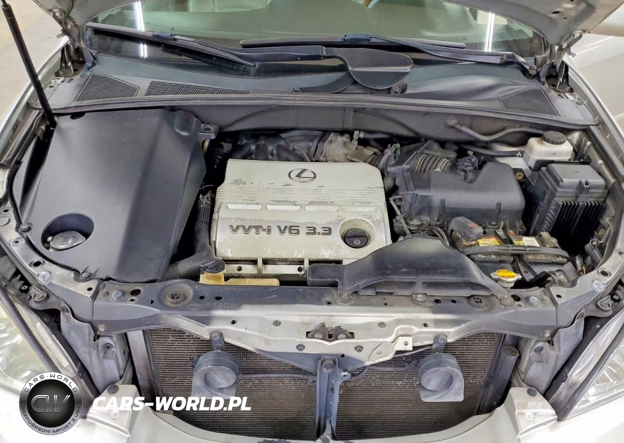 2004 Lexus Rx 330 VIN:2T2GA31U24C014035 - 12