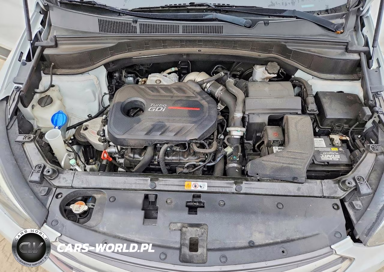 2018 Hyundai Santa Fe Sport 2.0T Ultimate VIN:5NMZW4LA1JH081206 - 12