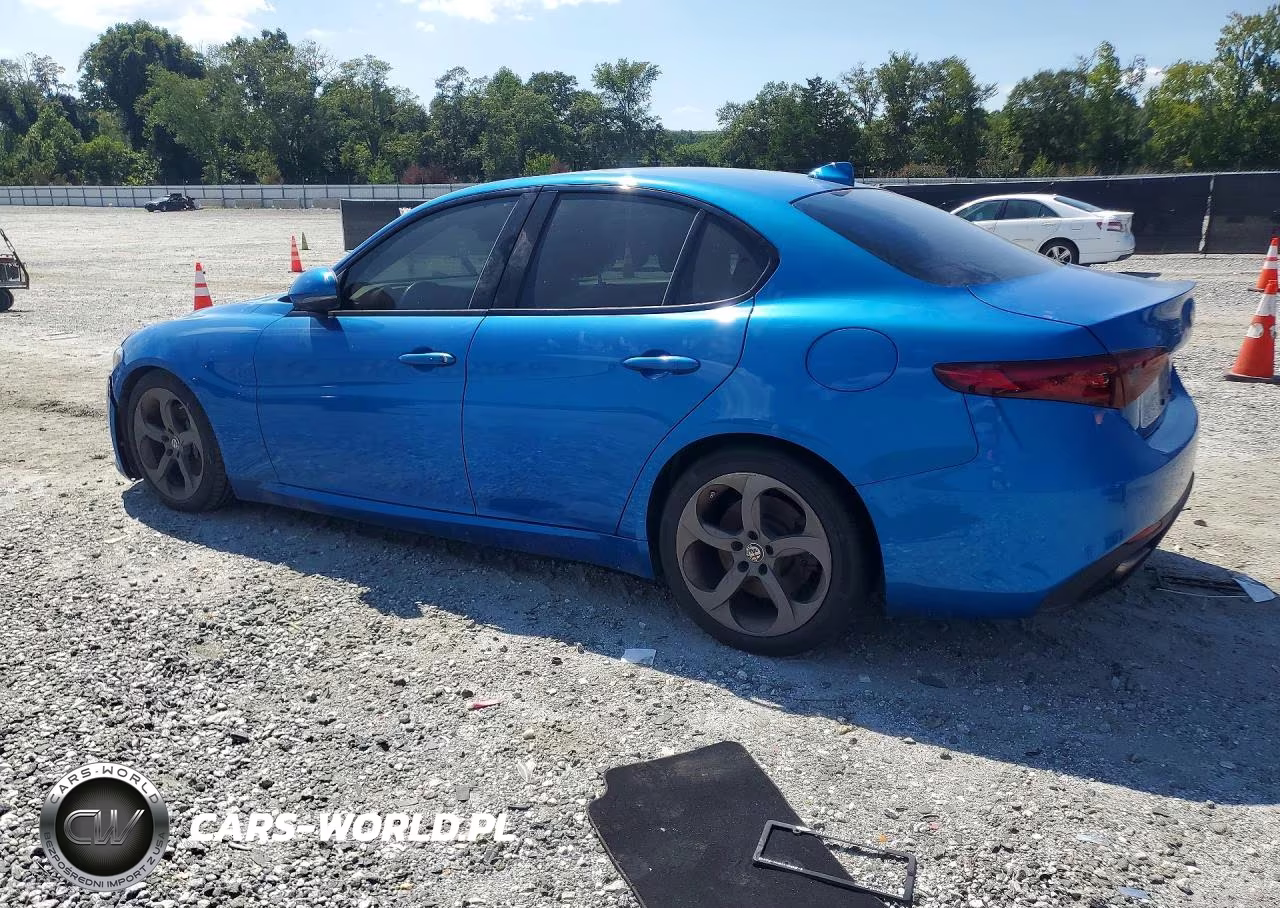 2018 Alfa Romeo Giulia VIN:ZARFAEBN6J7566840 - 2