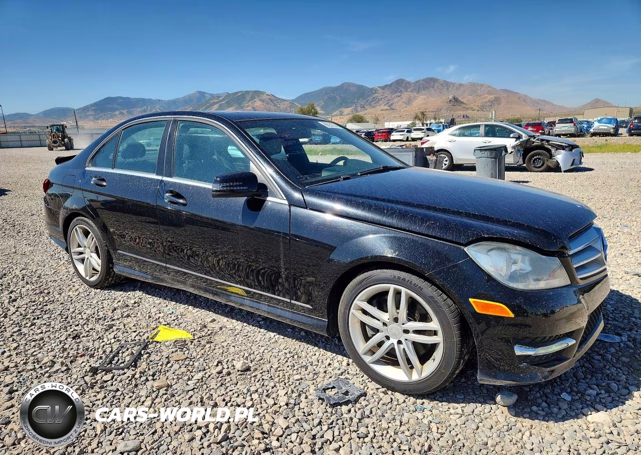 2013 Mercedes-Benz C 300 4Matic VIN:WDDGF8AB2DA841674 - 4