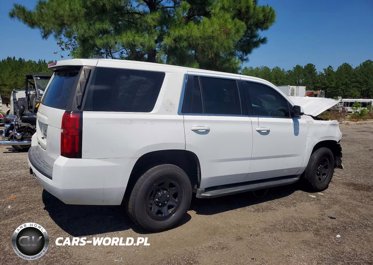 2018 Chevrolet Tahoe Police VIN:1GNLCDEC8JR294041 - 3
