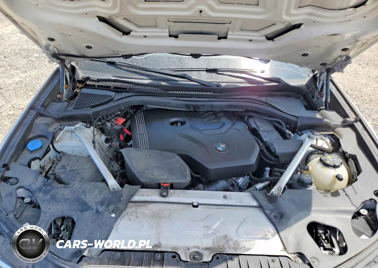 2023 BMW X3 Sdrive30I VIN:5UX43DP02P9S75220 - 11