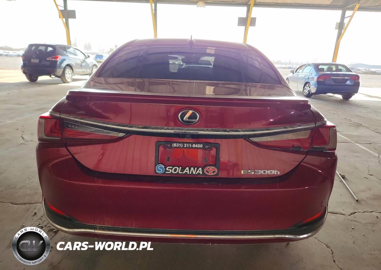 2019 Lexus Es 300H VIN:JTHB21B19K2002981 - 6