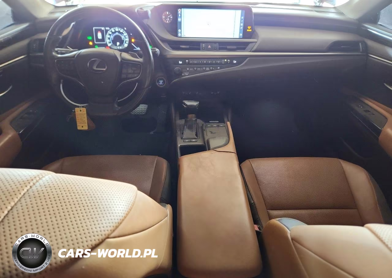 2019 Lexus Es 300H VIN:JTHB21B19K2002981 - 8