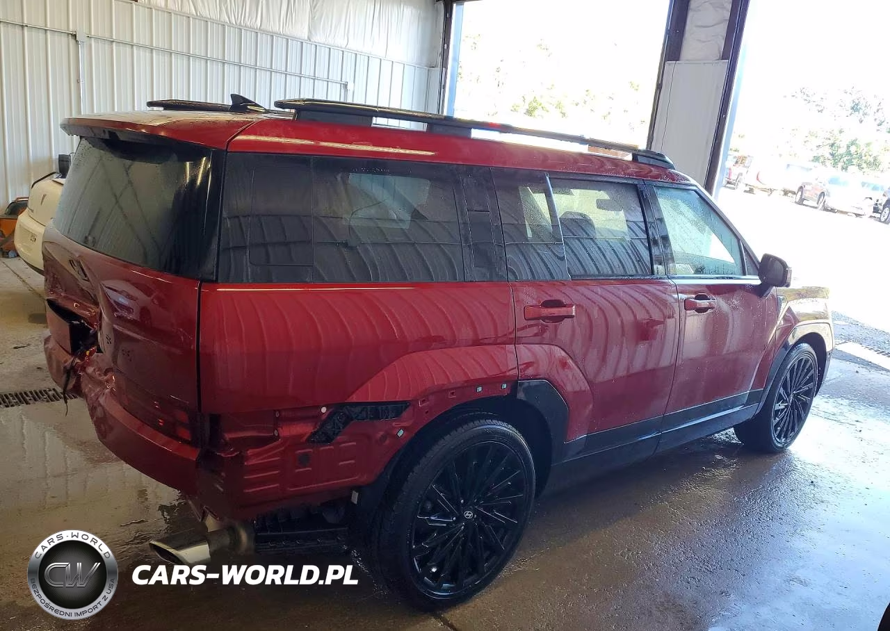 2024 Hyundai Santa Fe Calligraphy VIN:5NMP5DGL0RH030619 - 3