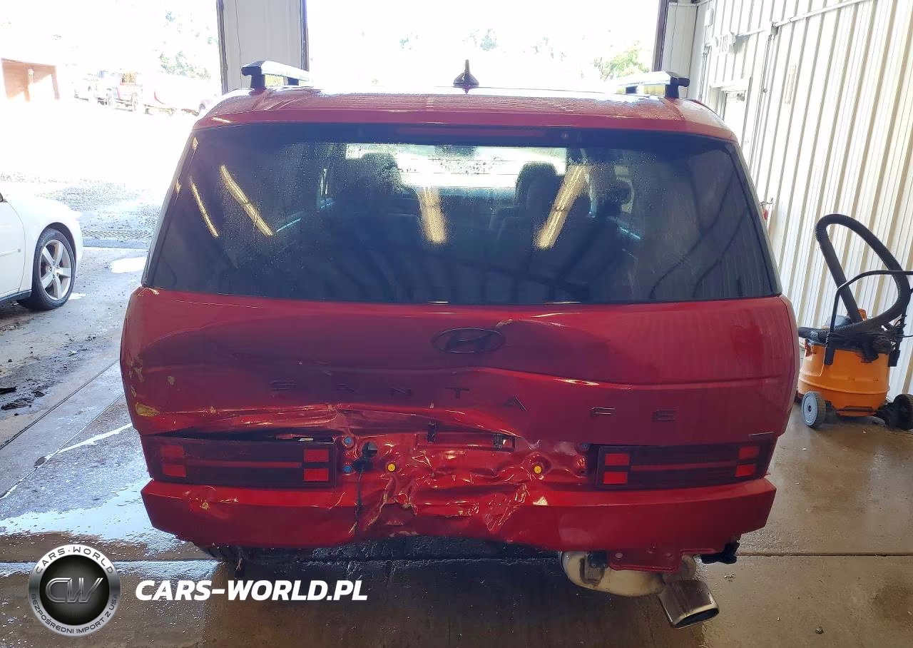 2024 Hyundai Santa Fe Calligraphy VIN:5NMP5DGL0RH030619 - 6