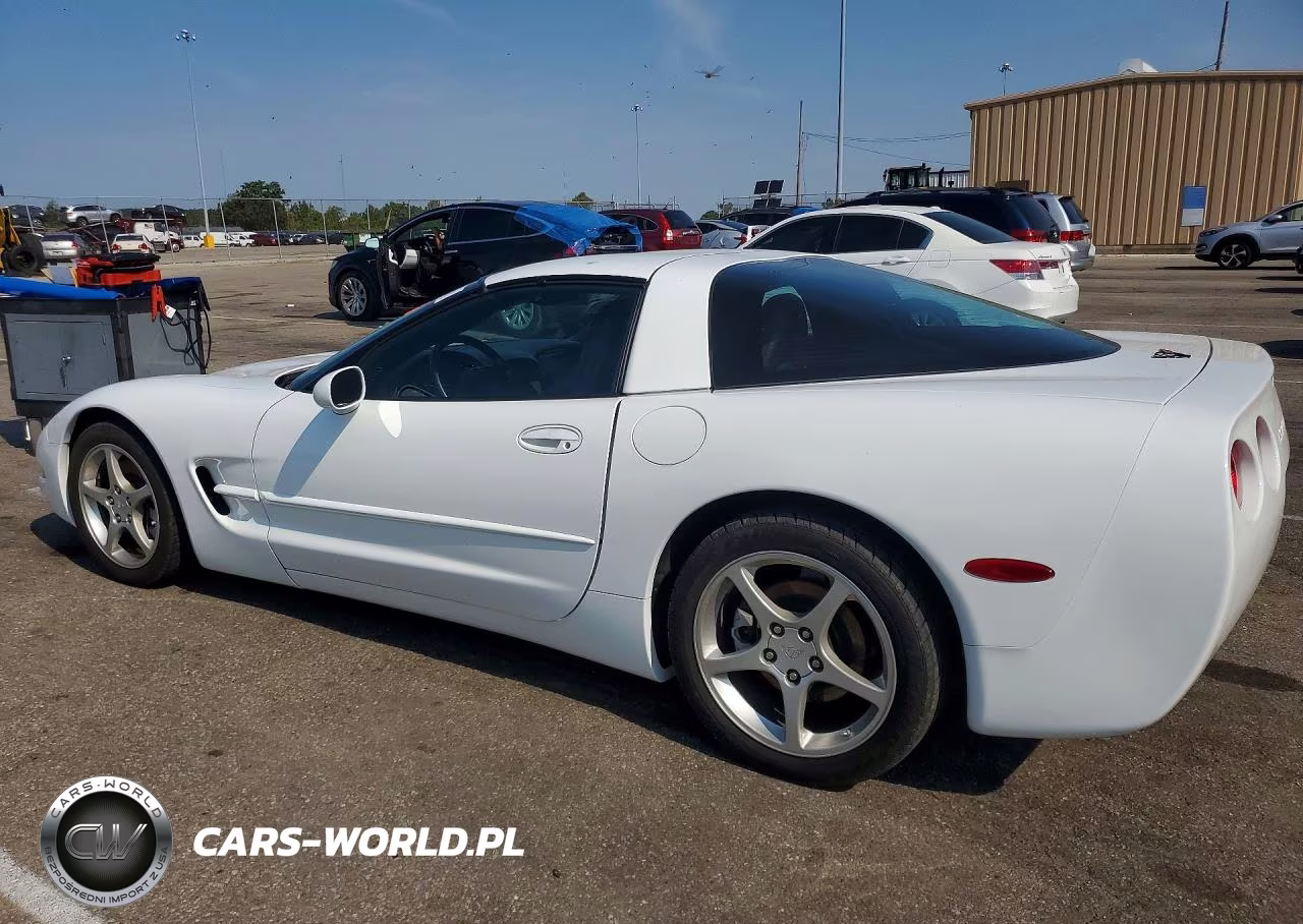 2004 Chevrolet Corvette VIN:1G1YY22G645129976 - 2