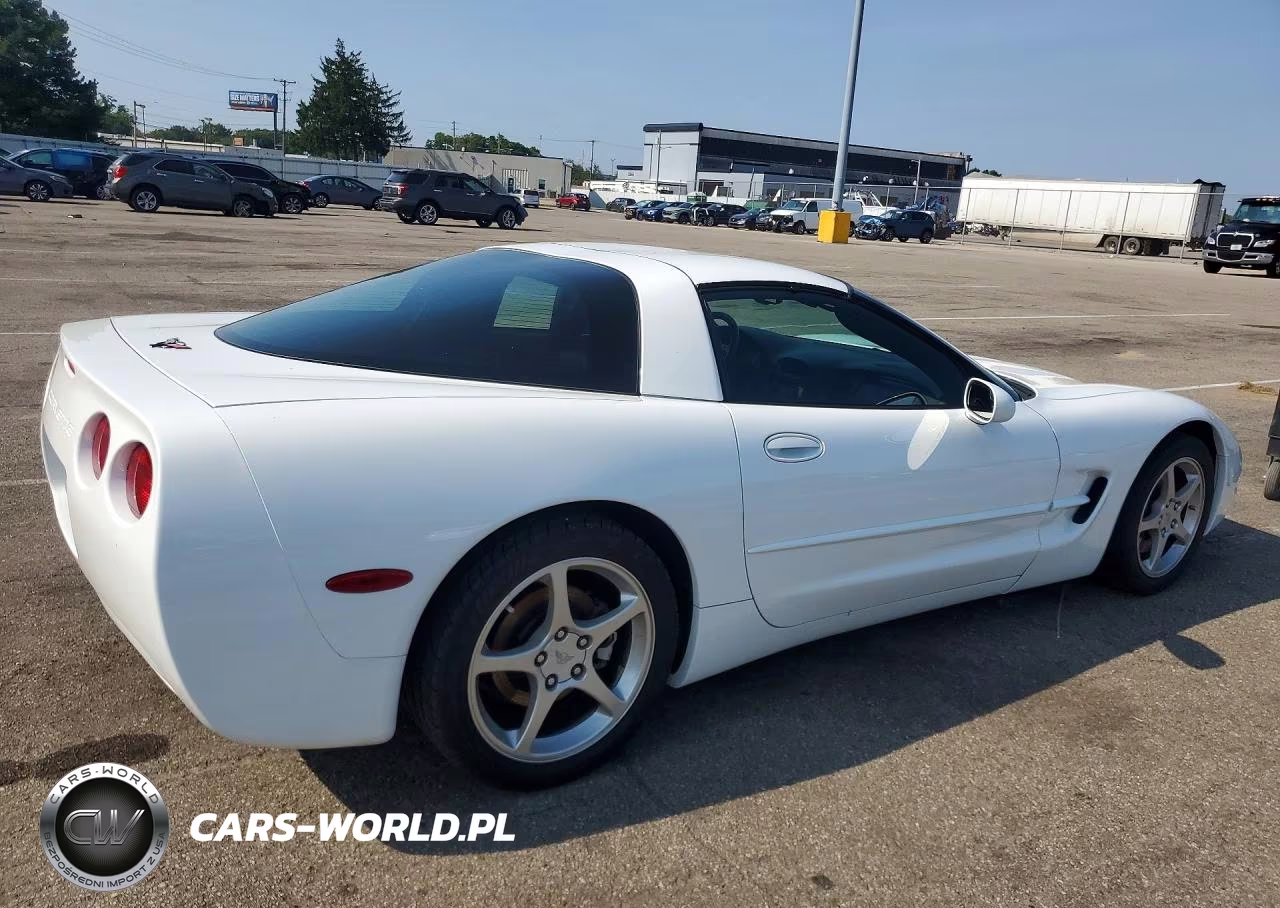 2004 Chevrolet Corvette VIN:1G1YY22G645129976 - 3