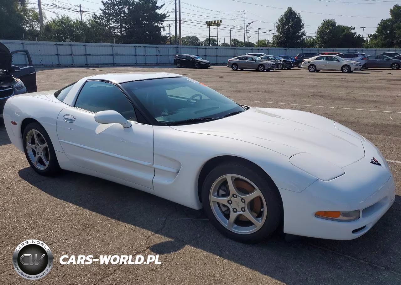 2004 Chevrolet Corvette VIN:1G1YY22G645129976 - 4