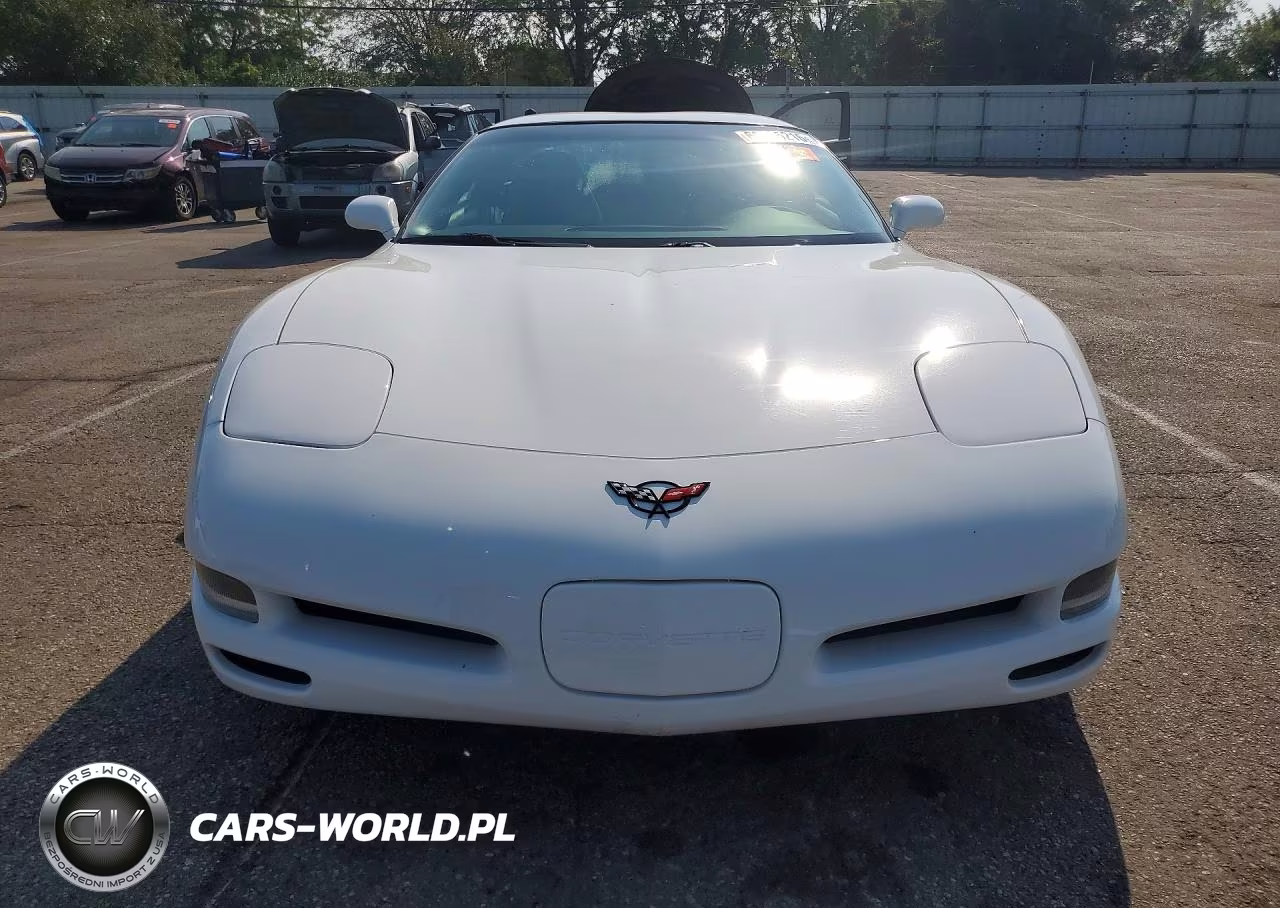 2004 Chevrolet Corvette VIN:1G1YY22G645129976 - 5