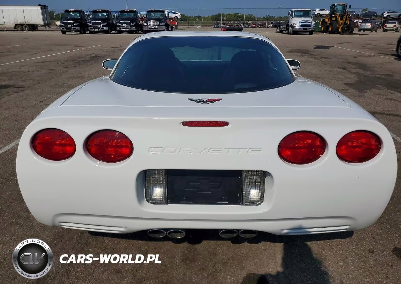 2004 Chevrolet Corvette VIN:1G1YY22G645129976 - 6