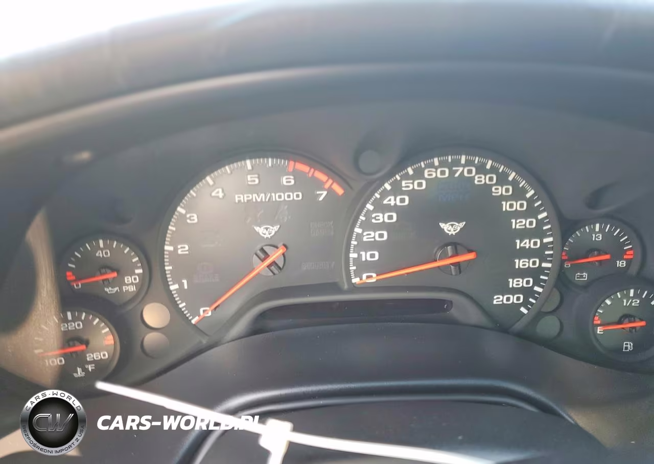 2004 Chevrolet Corvette VIN:1G1YY22G645129976 - 9