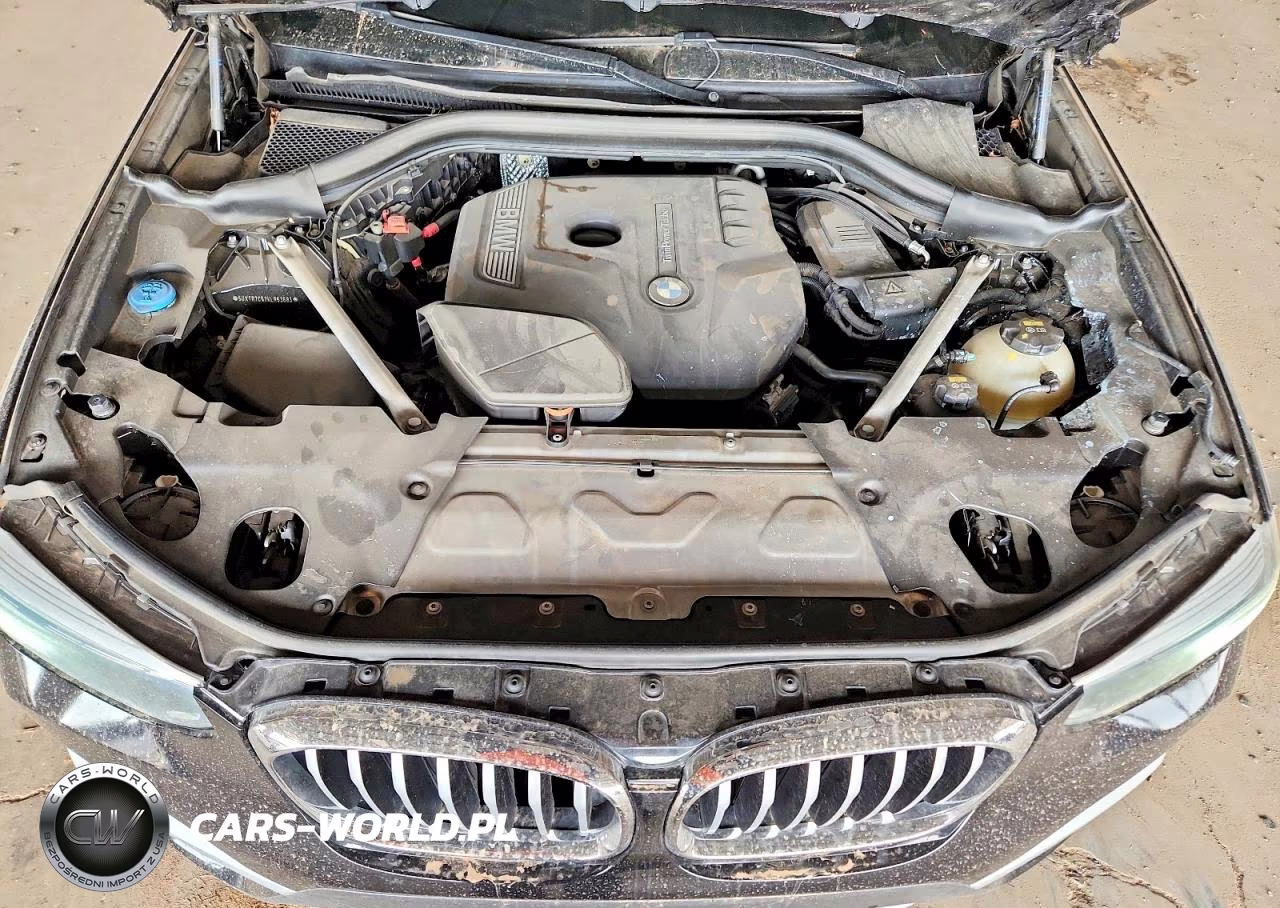 2019 BMW X3 Sdrive30I VIN:5UXTR7C52KLR53683 - 11