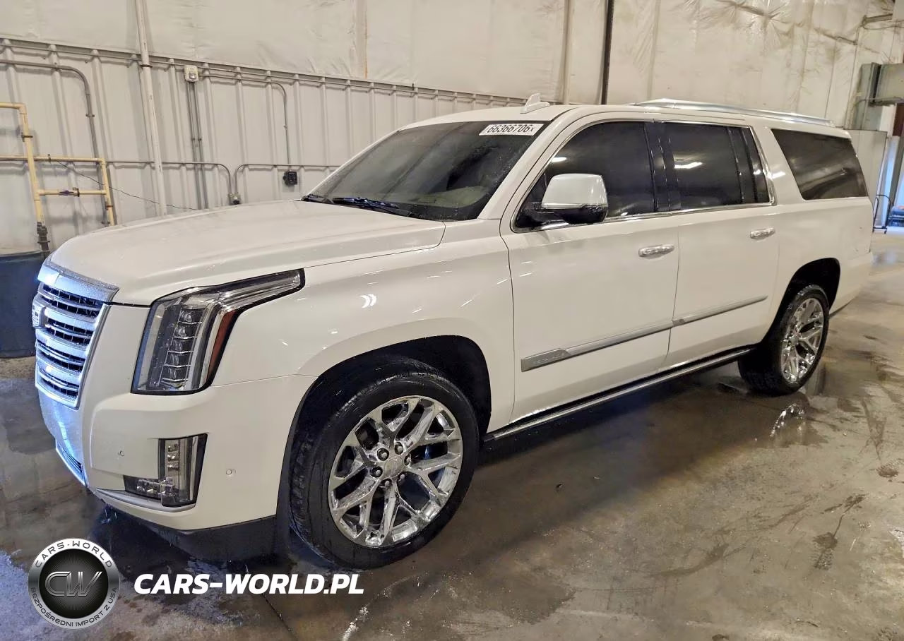 2020 Cadillac Escalade Esv Platinum VIN:1GYS4KKJ4LR120666 - 1