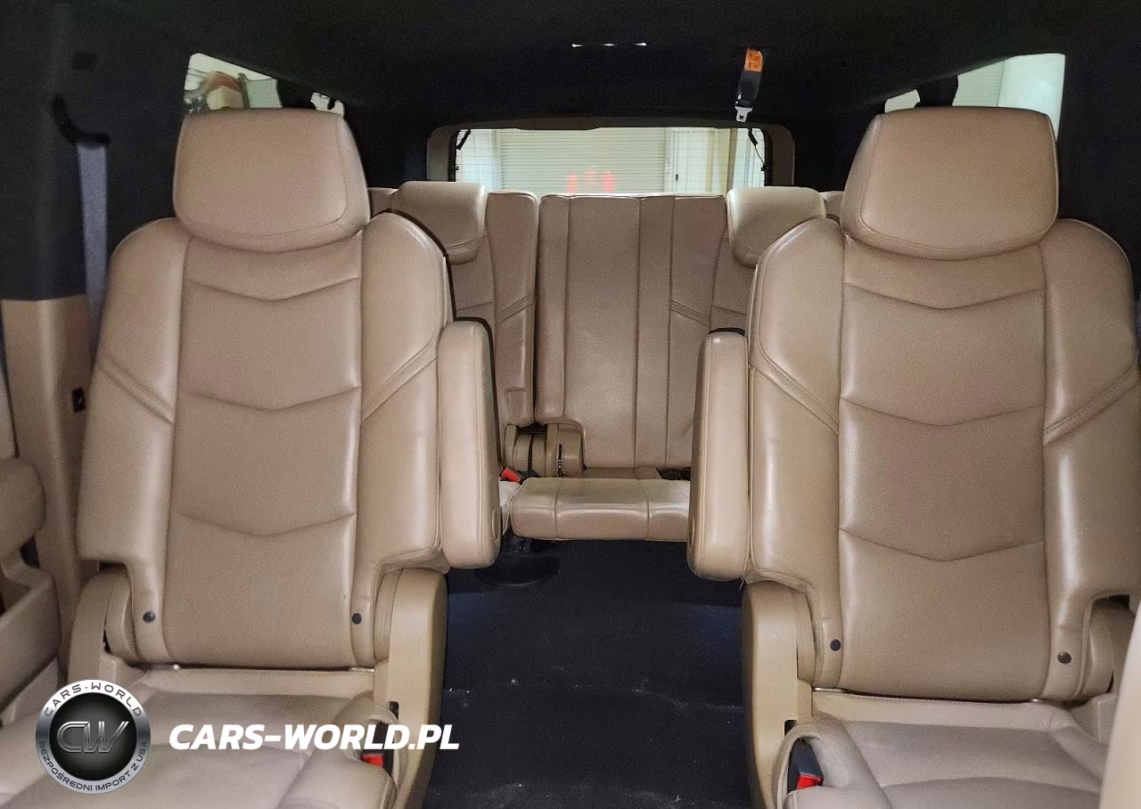 2020 Cadillac Escalade Esv Platinum VIN:1GYS4KKJ4LR120666 - 10