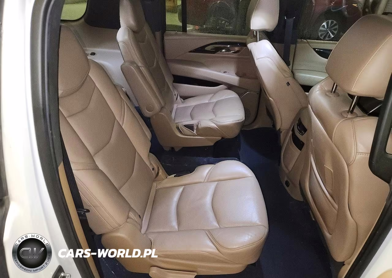 2020 Cadillac Escalade Esv Platinum VIN:1GYS4KKJ4LR120666 - 11