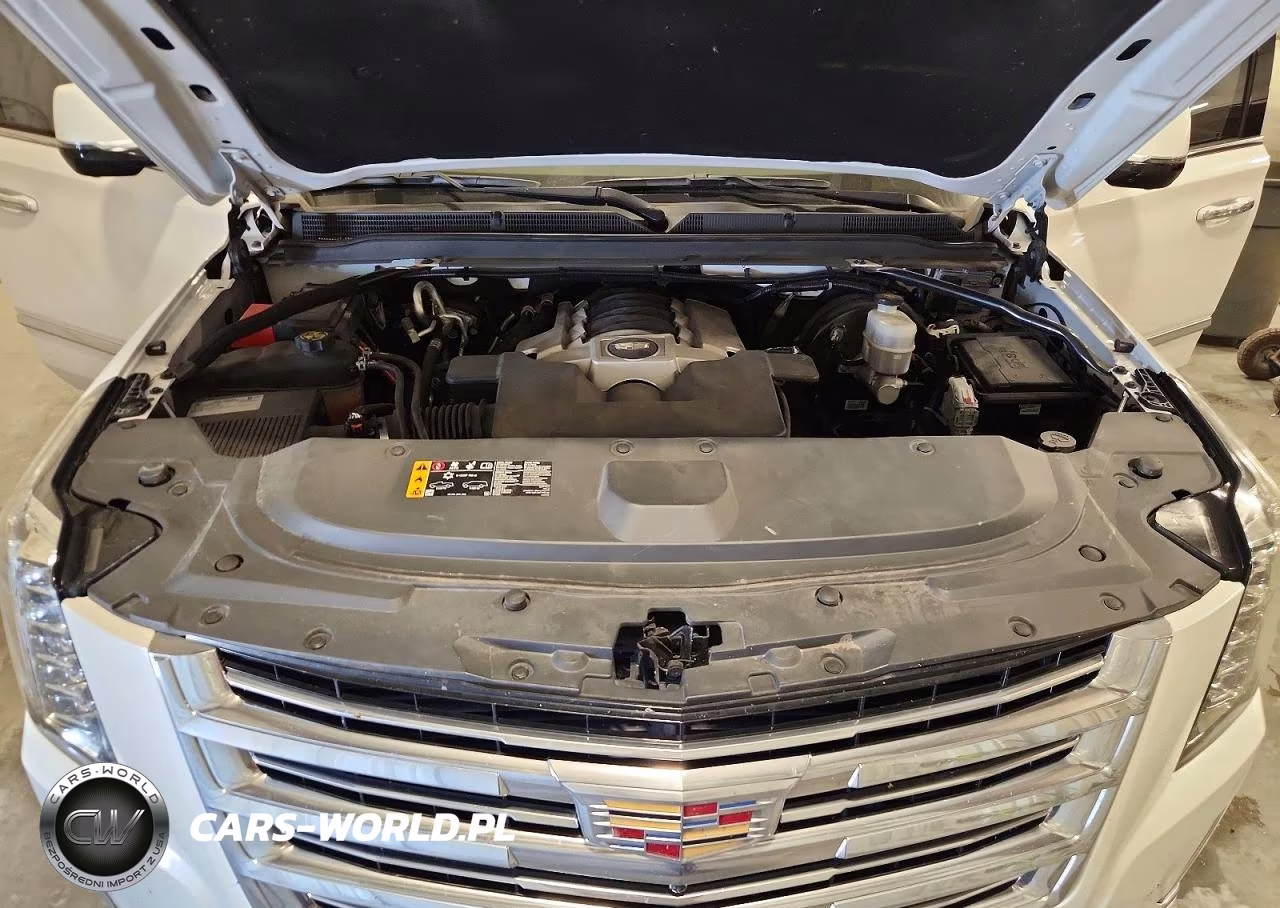 2020 Cadillac Escalade Esv Platinum VIN:1GYS4KKJ4LR120666 - 12
