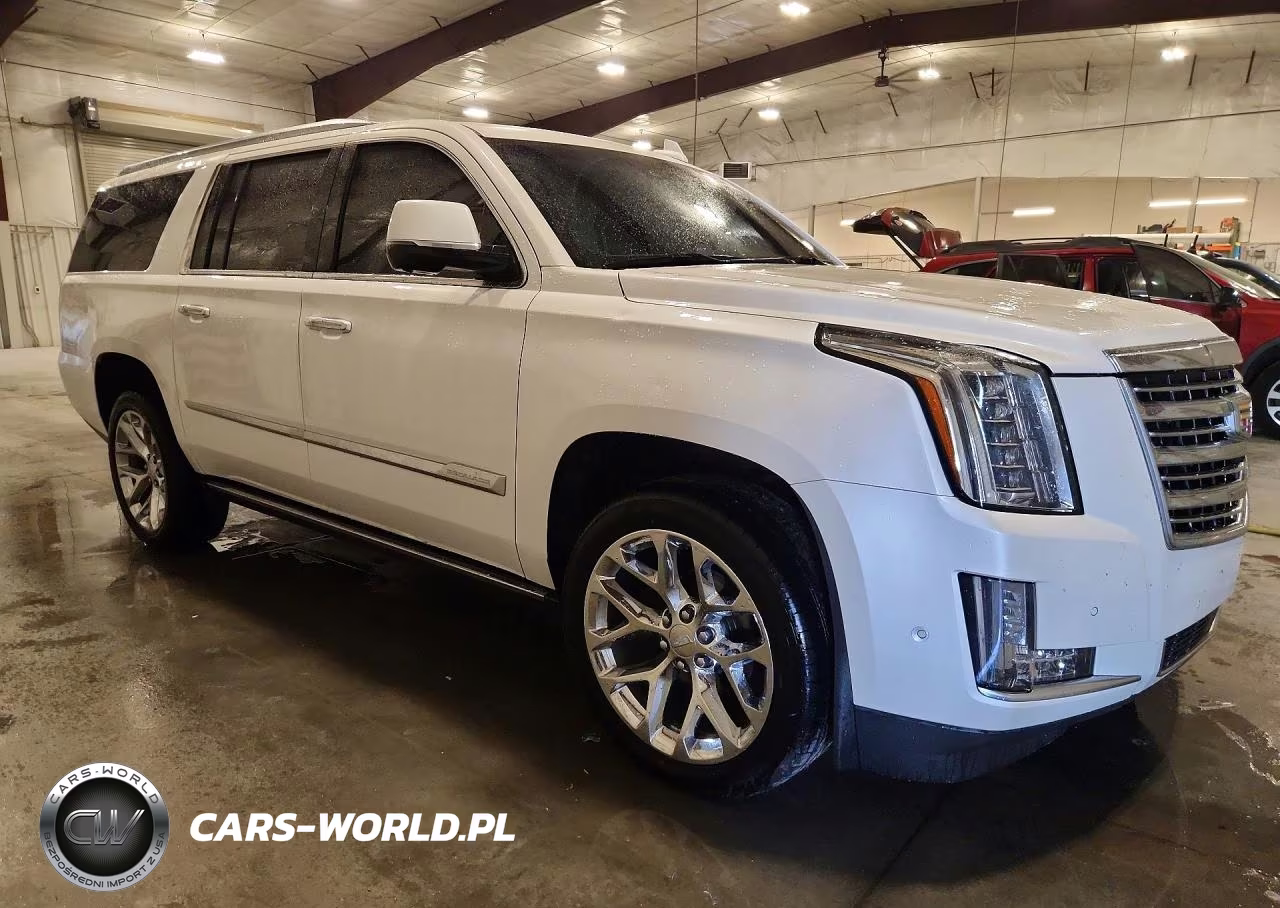 2020 Cadillac Escalade Esv Platinum VIN:1GYS4KKJ4LR120666 - 4