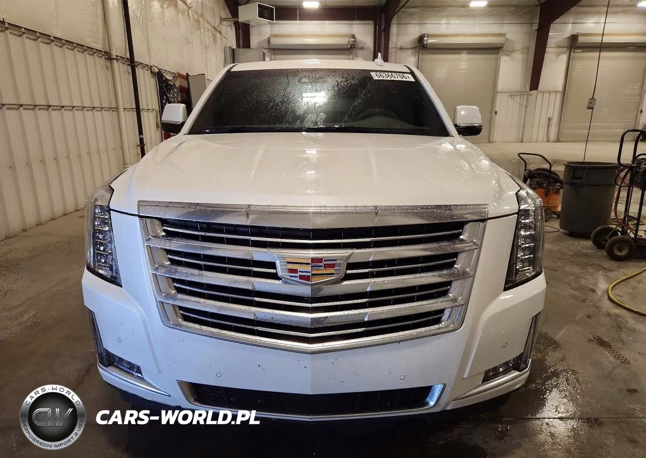 2020 Cadillac Escalade Esv Platinum VIN:1GYS4KKJ4LR120666 - 5