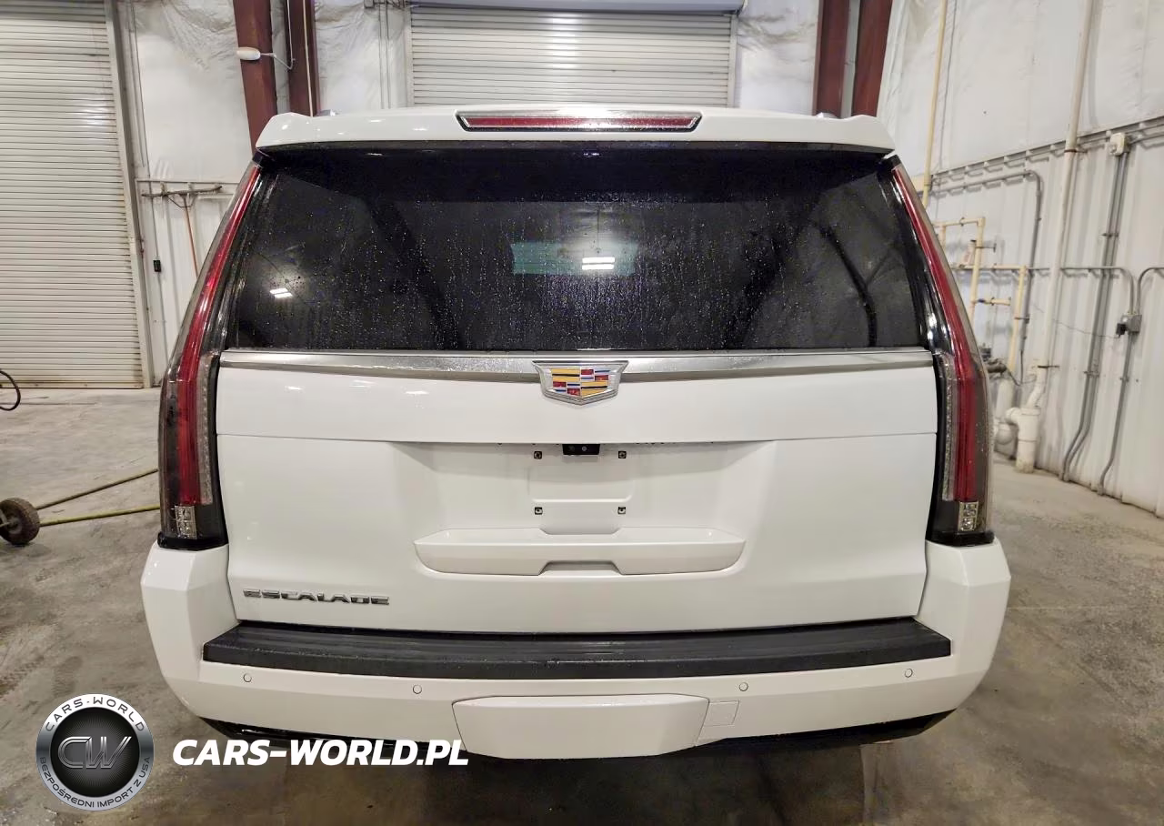 2020 Cadillac Escalade Esv Platinum VIN:1GYS4KKJ4LR120666 - 6
