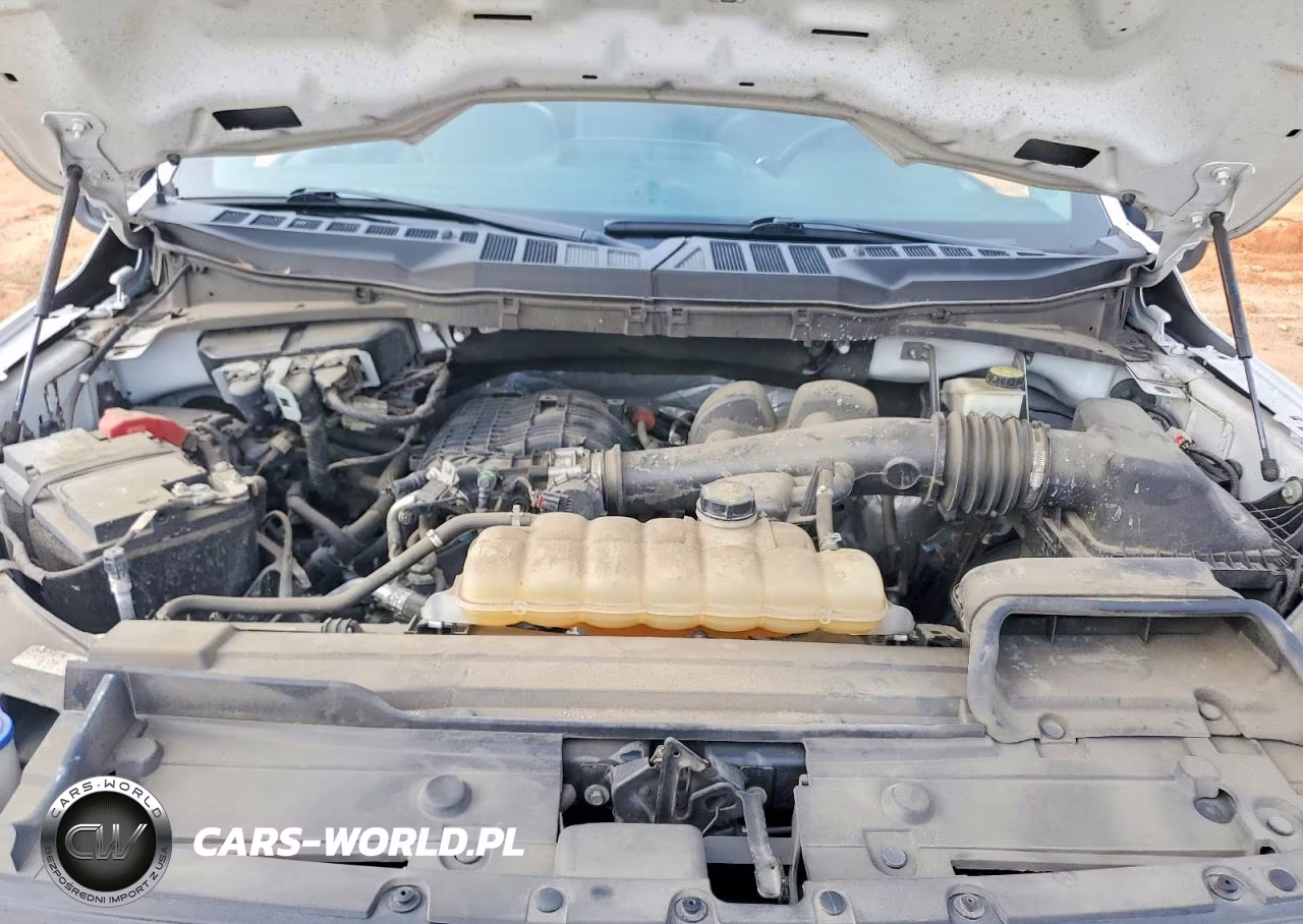 2021 Ford F150 VIN:1FTMF1CB9MKD70702 - 11