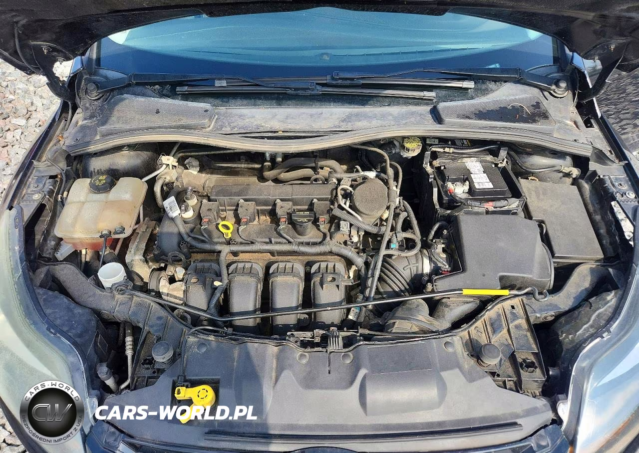 2013 Ford Focus Titanium VIN:1FADP3N28DL168505 - 11