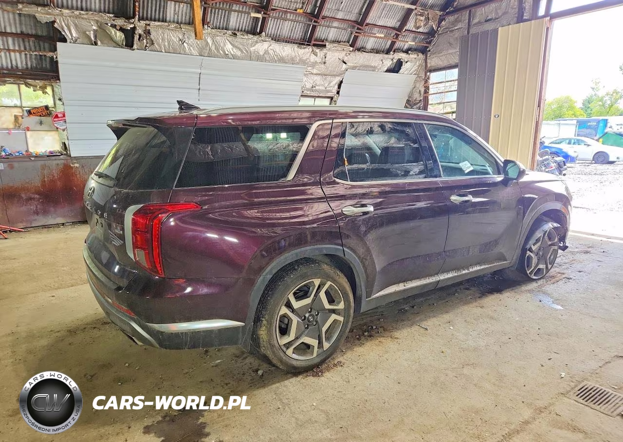 2023 Hyundai Palisade Limited VIN:KM8R5DGE1PU564918 - 3