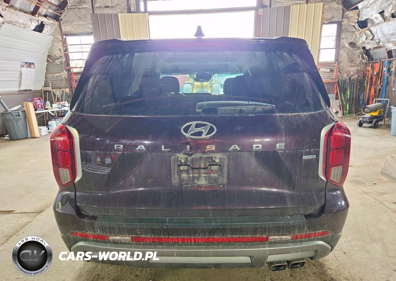 2023 Hyundai Palisade Limited VIN:KM8R5DGE1PU564918 - 6