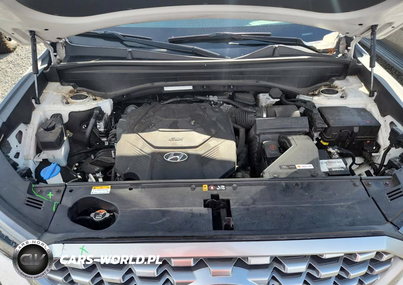 2021 Hyundai Palisade Sel VIN:KM8R24HE5MU188159 - 12