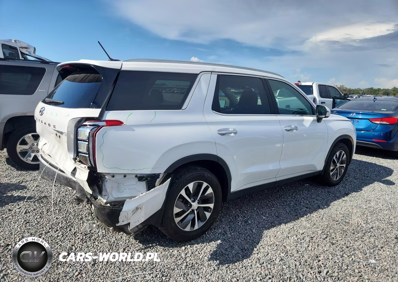 2021 Hyundai Palisade Sel VIN:KM8R24HE5MU188159 - 3